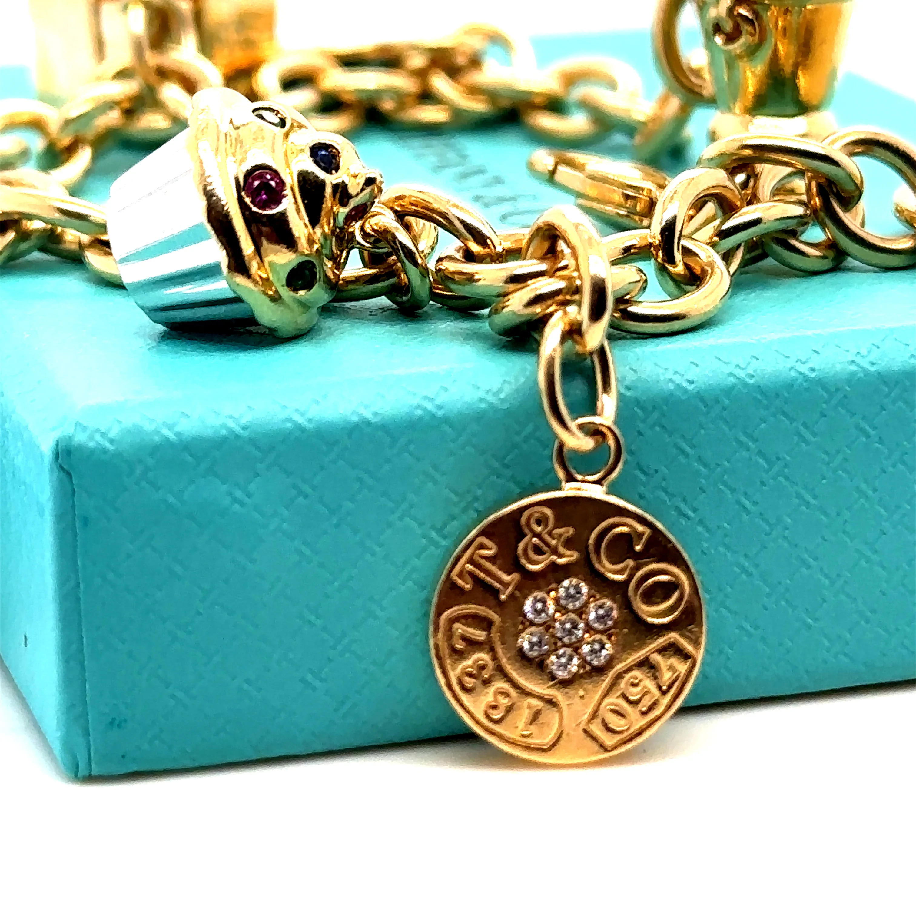 Tiffany & Co Dog Chain link Bracelet - Image 8