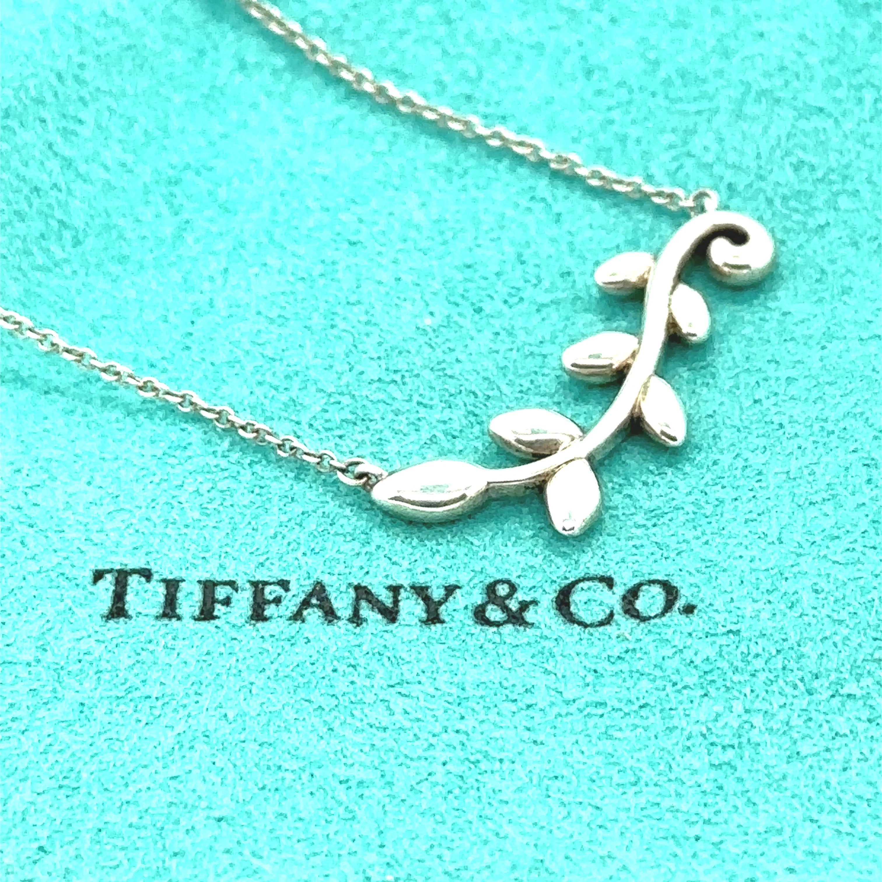 Tiffany & Co. Silver Paloma Picasso Olive Leaf Vine Necklace 3.08g - Image 4